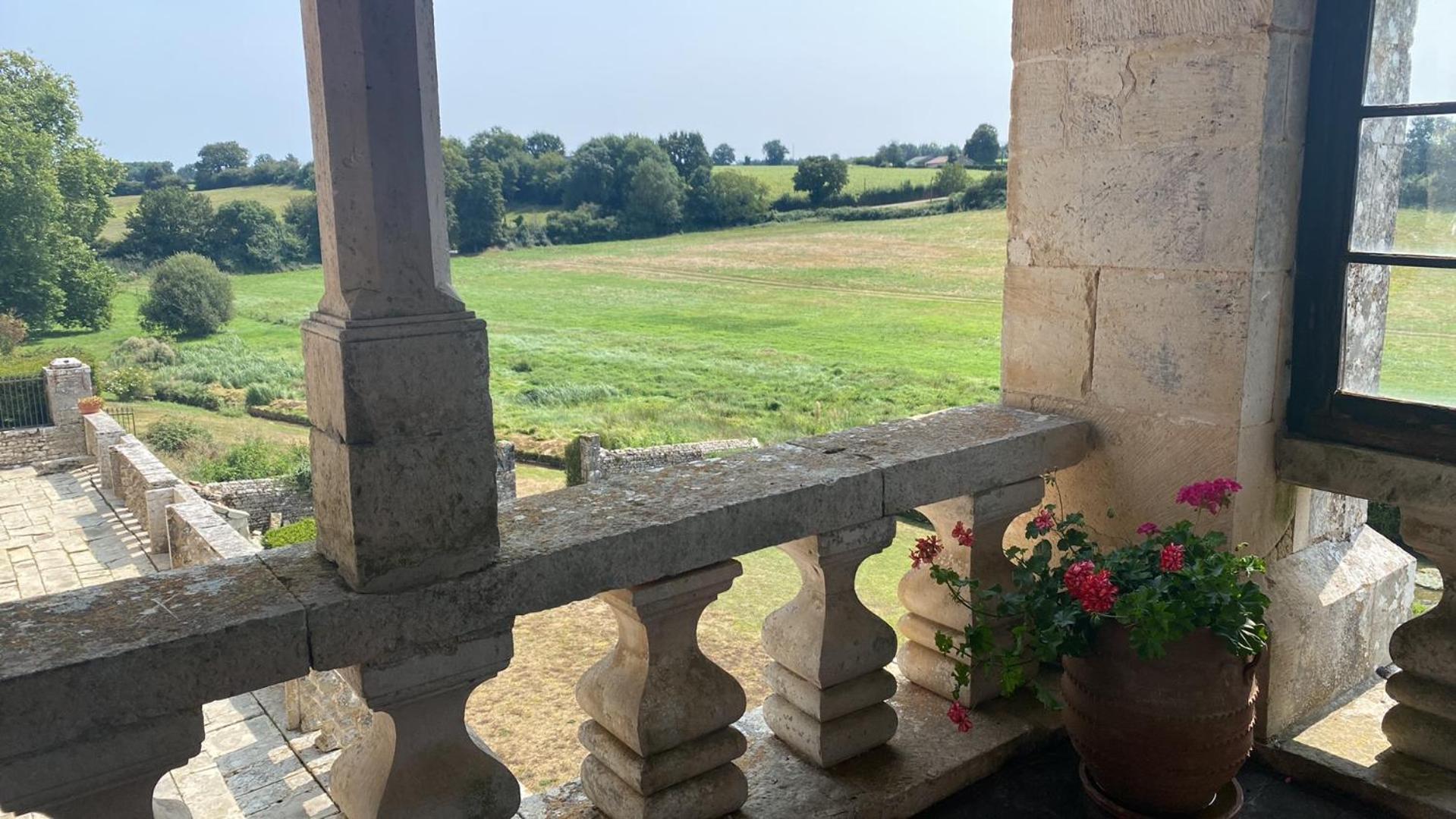 Chateau De Cibioux Surin  Exterior foto