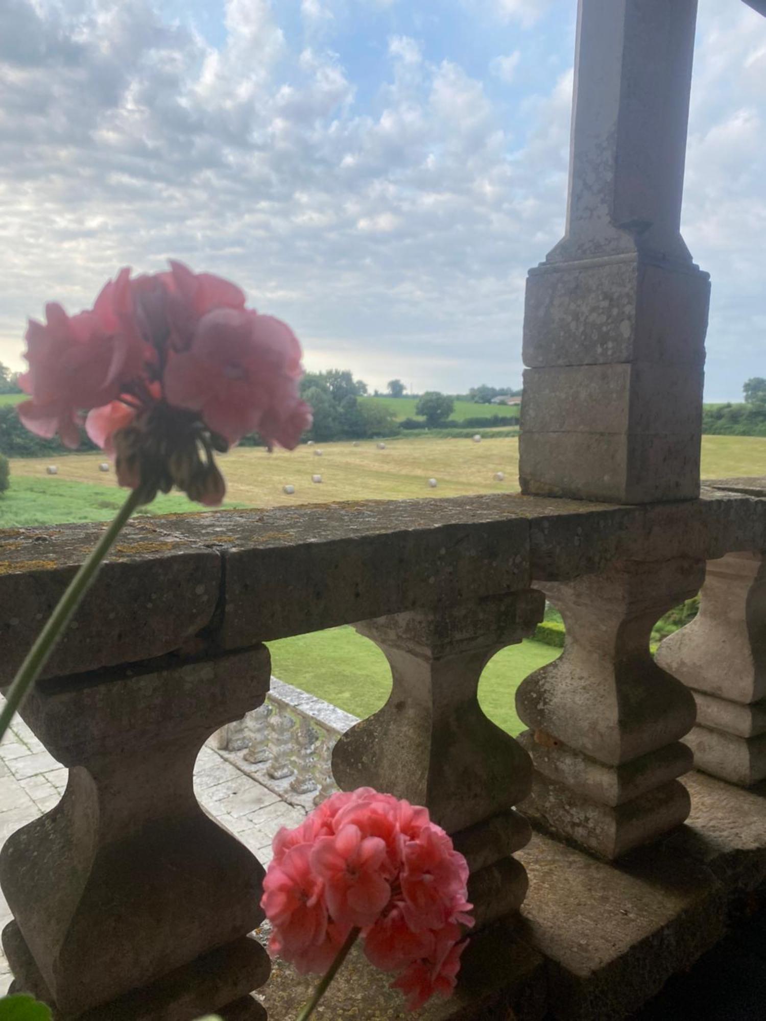 Chateau De Cibioux Surin  Exterior foto